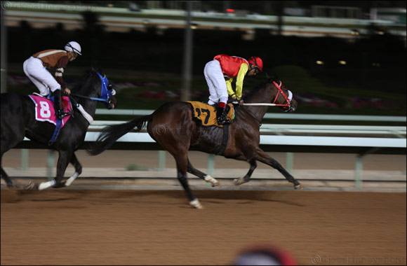 King Abdulaziz Square in Janadriyah continues the equestrian activities