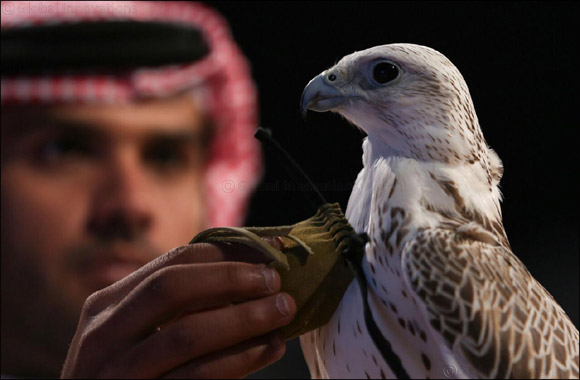 2nd Saudi Falcons and Hunting Exhibition opens in Riyadh Friday