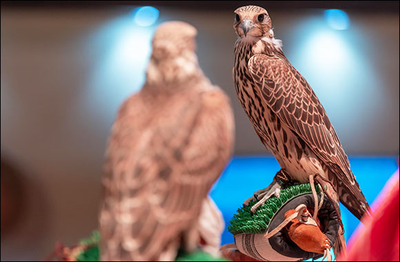 International Falcon Breeders Auction 2024 Wraps Up with Record-Breaking Sales Exceeding $2.7 Million