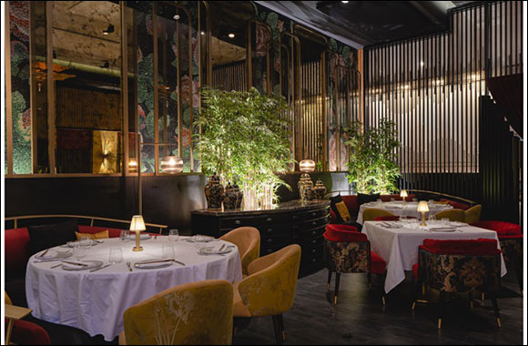 Indulge in culinary pleasures with toki restaurant's experiences - toki tuesdays and weekend brunch